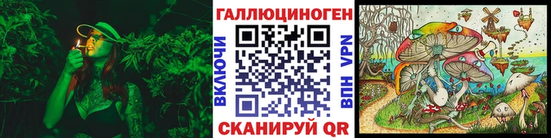 Псилоцибиновые грибы Psilocybe  Опочка 